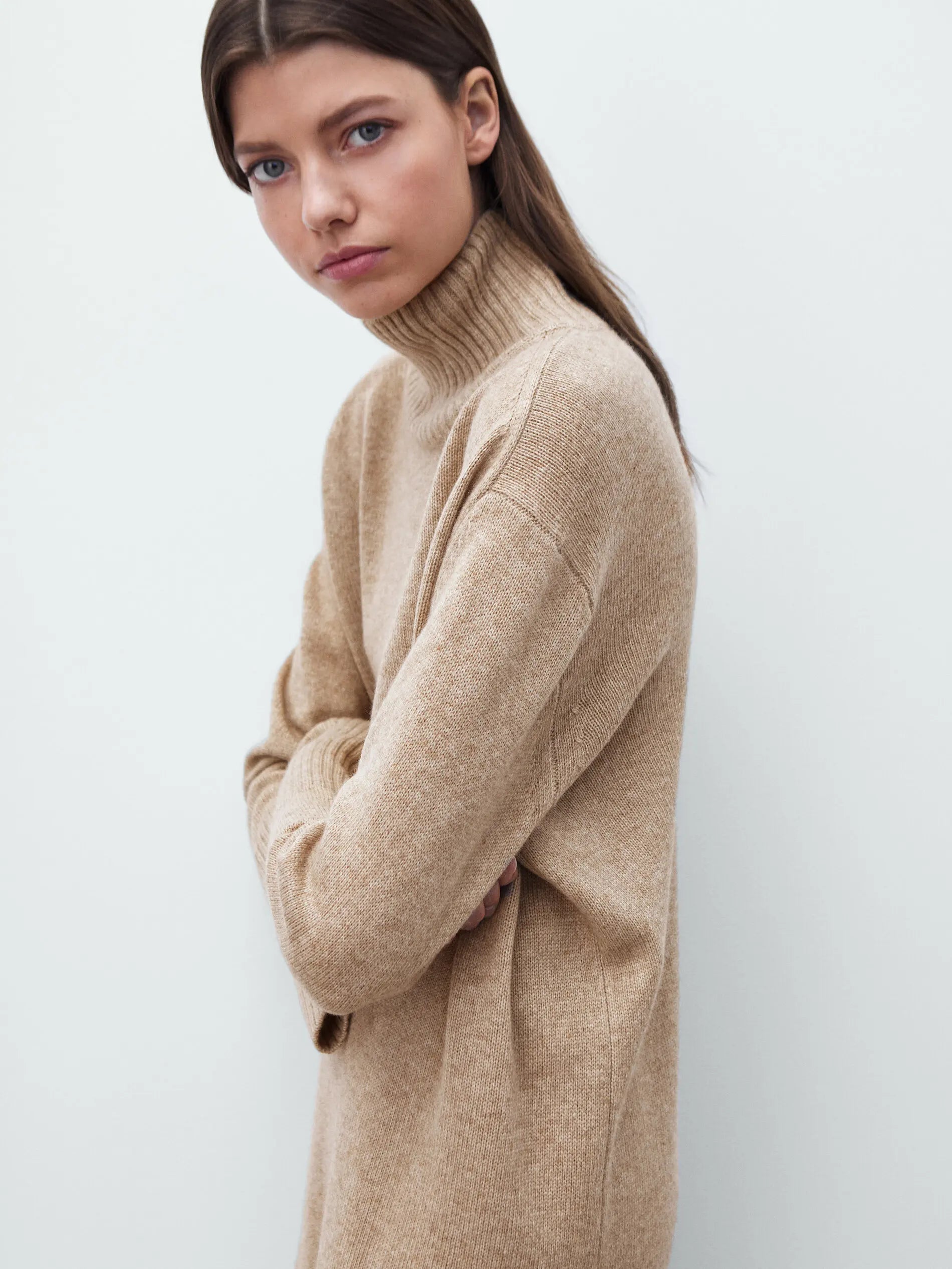 Women Oversized Turtleneck Sweater Dress | Fayetta