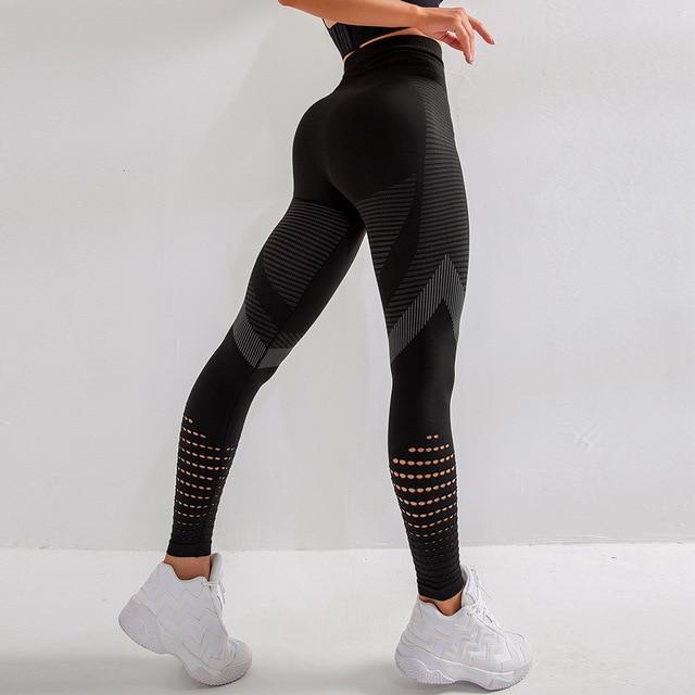 Women Seamless Opus Leggings | Isayla